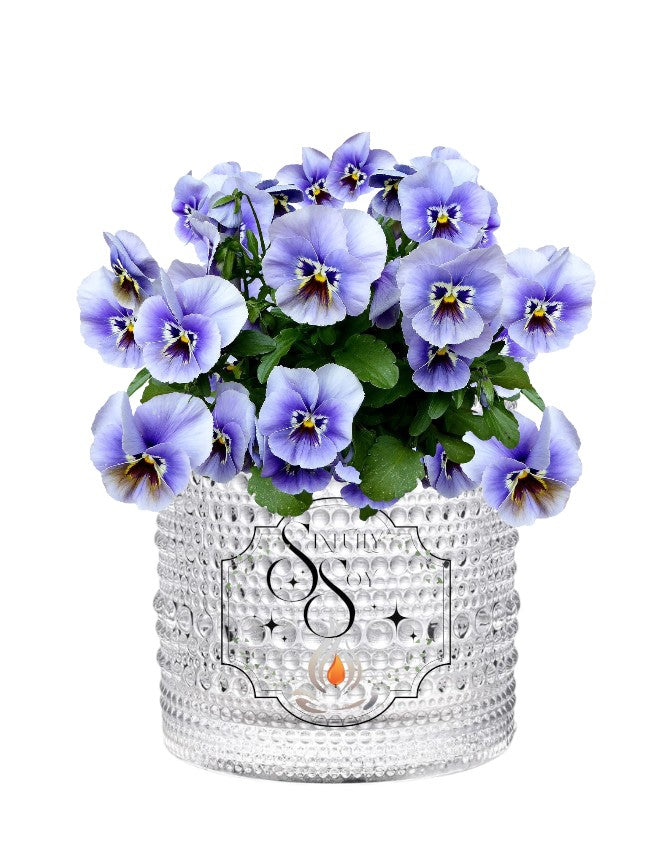 Strawberry Parfait image 3